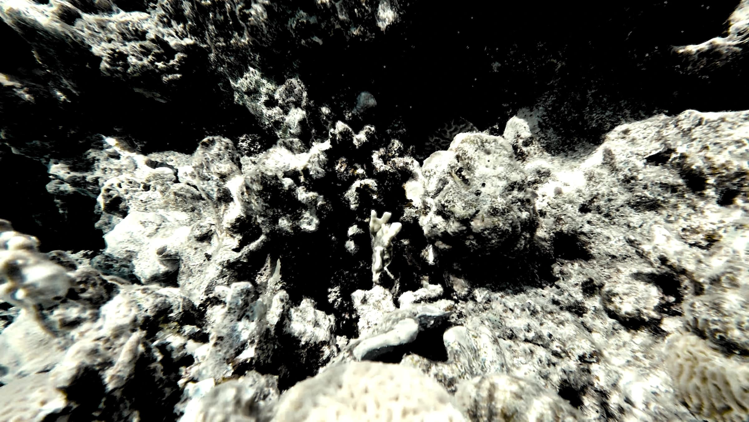 Mysterious underwater hydrodynamic whisperings.